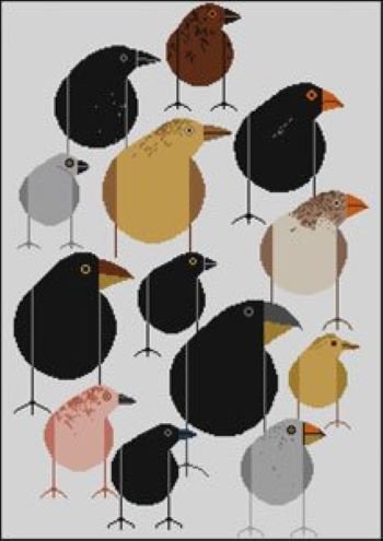MCHCD433 DARWIN'S FINCHES by Charley Harper
