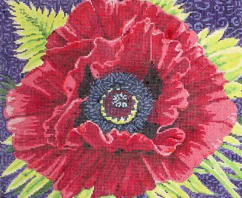SG181304 AMAPOLA by Sandra Gilmore