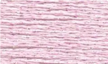 24 BABY PINK SILK LAME BRAID