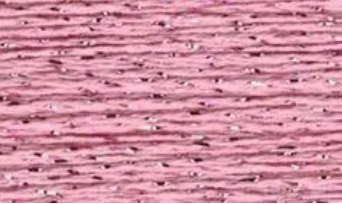 25 ROSE PINK SILK LAME BRAID