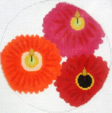 AMEBH02-GERBERA DAISIES by Beth Hunt