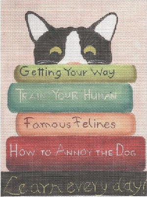 CBKGDPL01 Cat with Books by Ginny Diezel