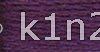 550 Dark Violet PERLE COTTON