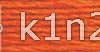 947 Burnt Orange PERLE COTTON