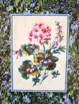 KCN161-Geraniums Frame by Kelly Clark