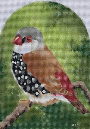 RCHO1280-FINCH BIRD by Ray Crawford