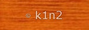 1113 Dk Apricot Splendor