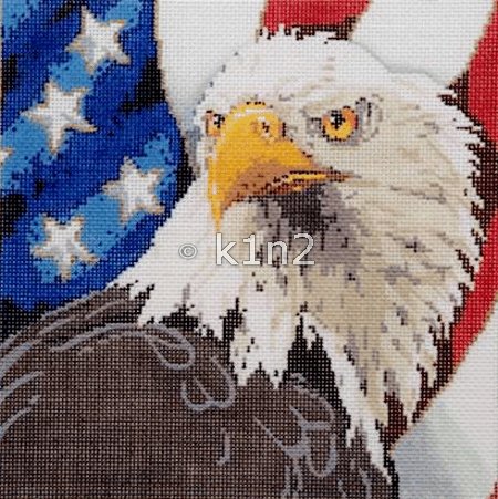 SG18200-AMERICAN EAGLE BIRD by Sandra Gilmore