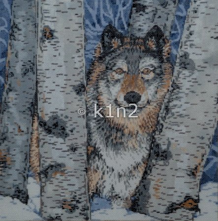 SG18538-THE SENTINEL WOLF by Sandra Gilmore