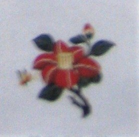 SOPSC139-CAMELIA FLOWER by Sophia Designs