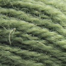 TW1603 FOREST GREEN PERSIAN TAPESTRY WOOL