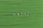 Light Green Very Velvet by Rainbow Gallery-V221