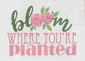 SG181243 BLOOM WHERE YOU'RE PLANTED by Sandra Gilmore
