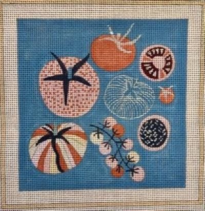 AAS JPD07 TOMATOES by Jocelyn Proust for The Collection