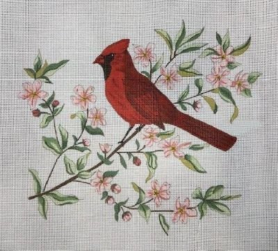 DBS B-07 SPRING CARDINAL by Suzanne