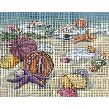 AP2820 SEASHELLS ON SHORE by ALICE PETERSON