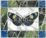 LEEA1160-BLUE AND YELLOW BUTTERFLY by Lee's Needlearts