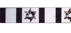MN1089A-PAISLEY STAR ATARAH by MAGIC NEEDLE