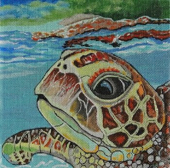 PPDE609 LOGGERHEAD REFLECTIONS TURTLE by Purple Palm Designs