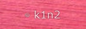 885 Dk Rose Pink Splendor
