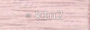 1025 Pl Shell Pink Splendor