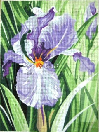 SEG926262-Iris by SEG
