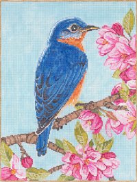 SG181101-BLUEBIRD by Sandra Gilmore