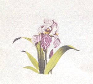 SOPSC137-IRIS FLOWER by Sophia Designs