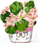 SRBE1449 - GERANIUMS by Susan Roberts