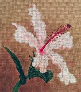 SRCTTASH162 HIBISCUS by Ashley Dillon for Susan Roberts