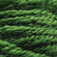 TW1611 HUNTER GREEN PERSIAN TAPESTRY WOOL