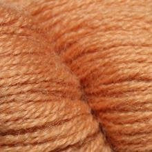 TW1884 GINGER PERSIAN TAPESTRY WOOL