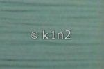 Light Sea Green Very Velvet by Rainbow Gallery-V236